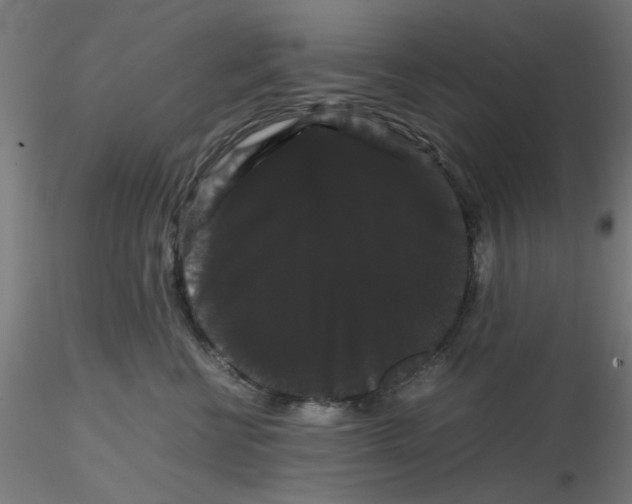 X0000116120570200912211656
