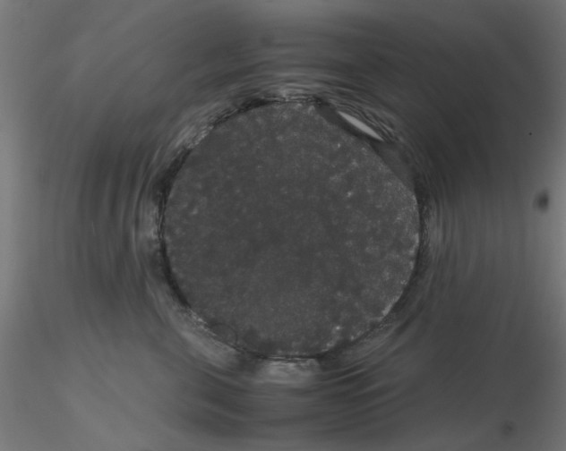 X0000116120571200912211656
