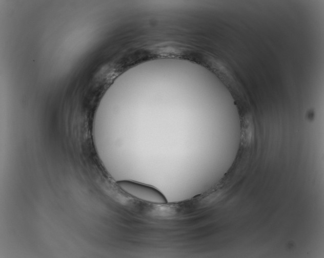 X0000116120573200912211656