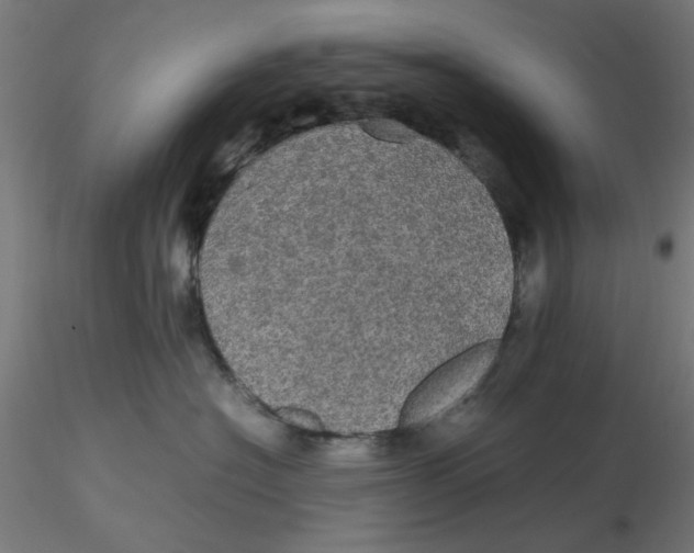 X0000116120574200912211656