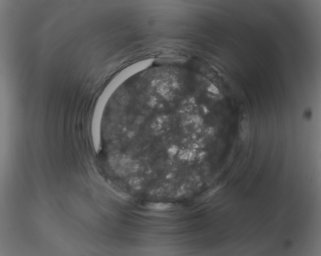 X0000116120575200912211656