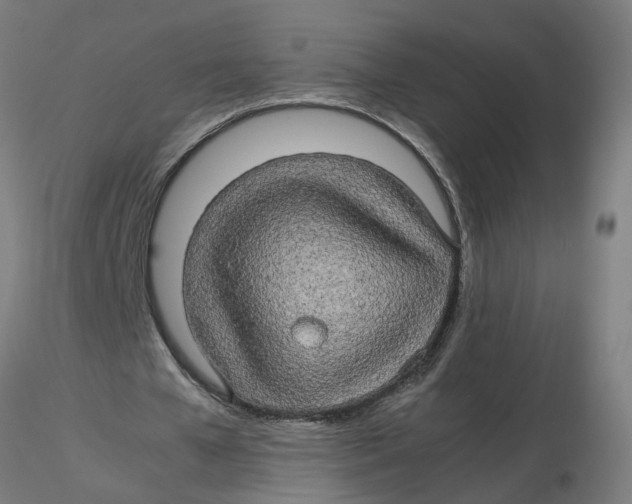 X0000116120577200912211656