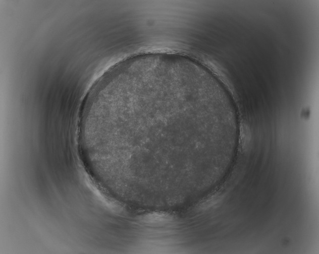 X0000116120578200912211656