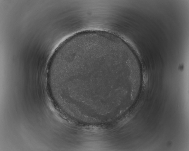 X0000116120580200912211656