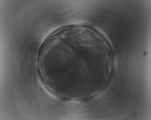 X0000116120581200912211656