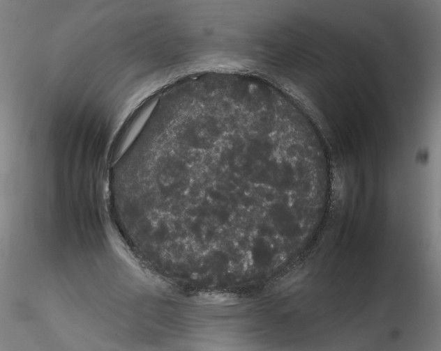 X0000116120582200912211656