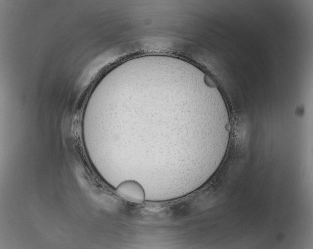 X0000116120583200912211656
