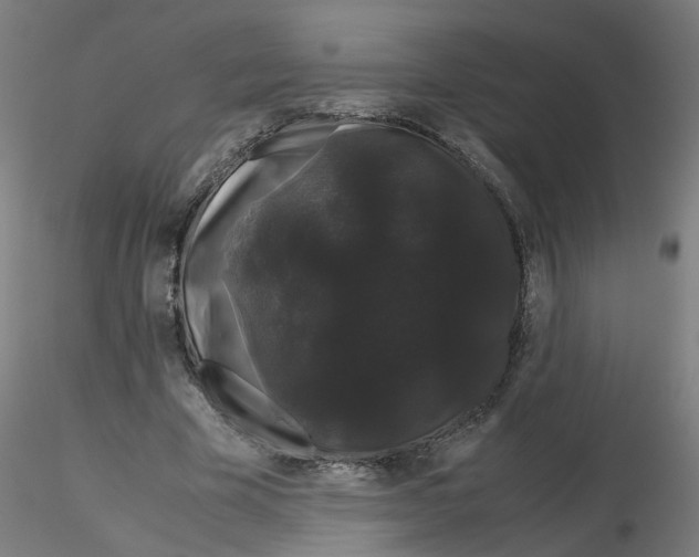X0000116120585200912211656