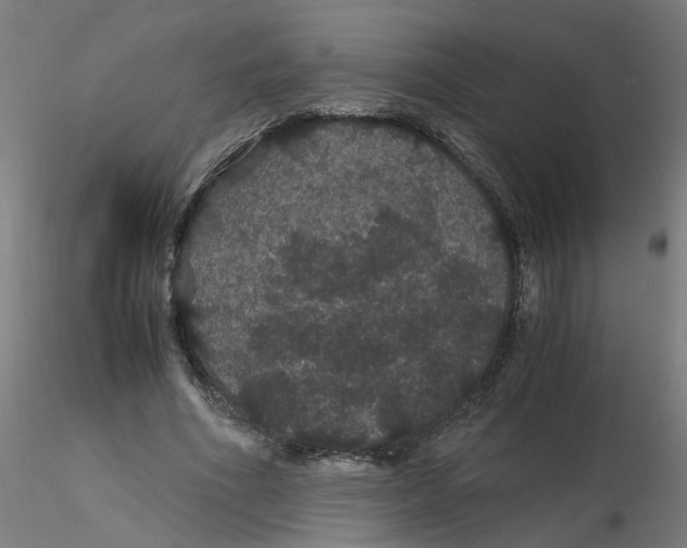 X0000116120586200912211656
