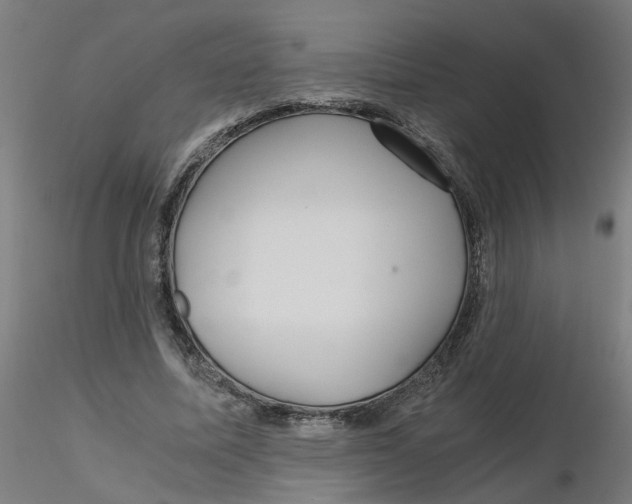 X0000116120587200912211655
