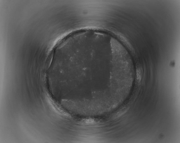 X0000116120588200912211655