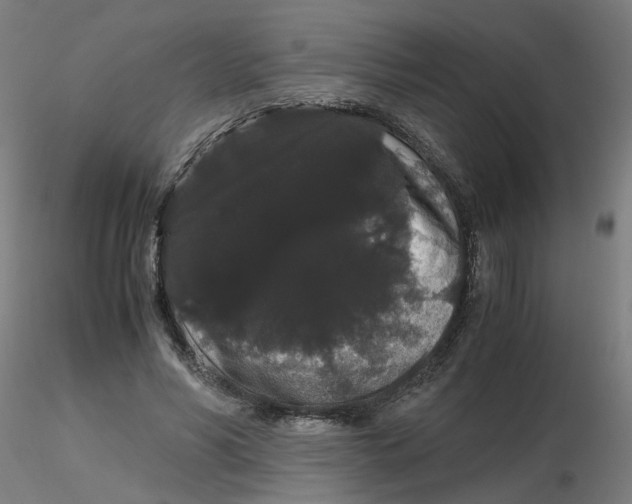 X0000116120590200912211655