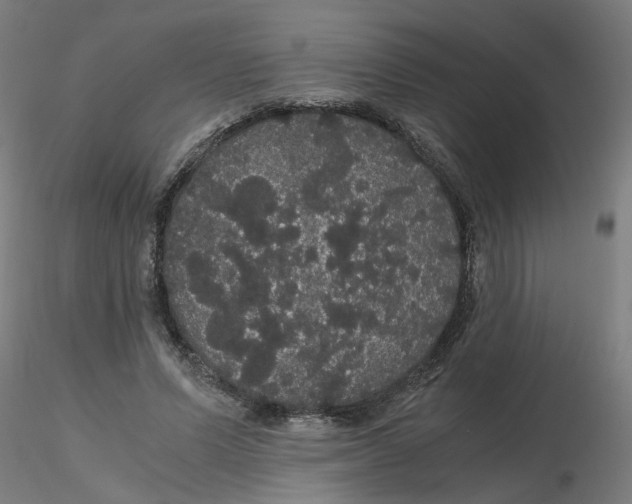 X0000116120591200912211655