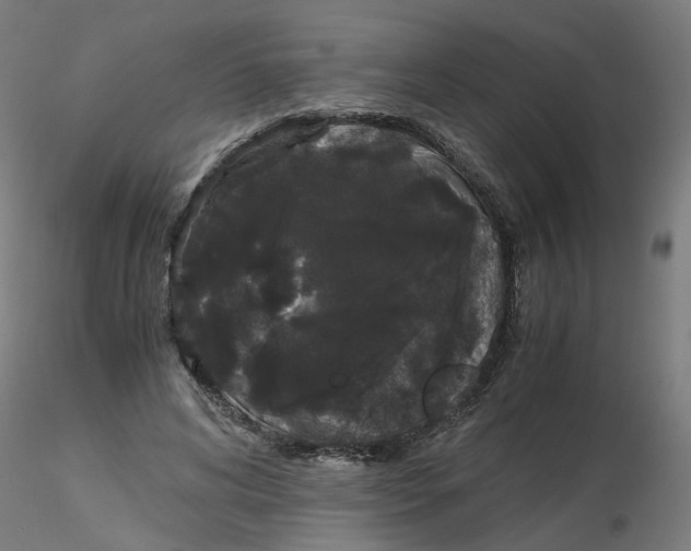 X0000116120592200912211655
