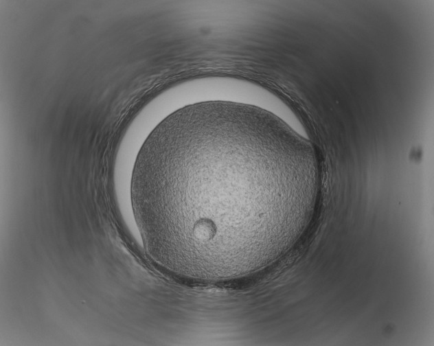 X0000116120593200912211655