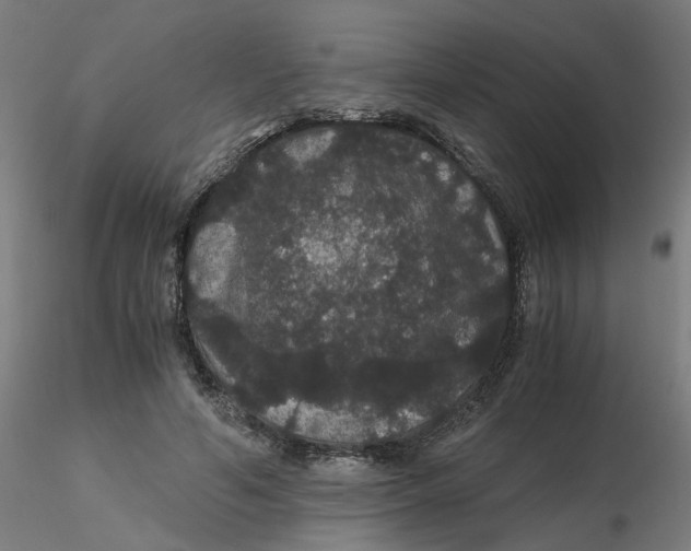 X0000116120594200912211655