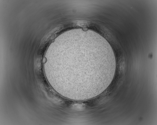 X0000116120595200912211655