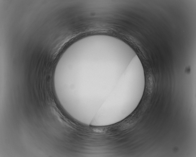 X0000116120596200912211655