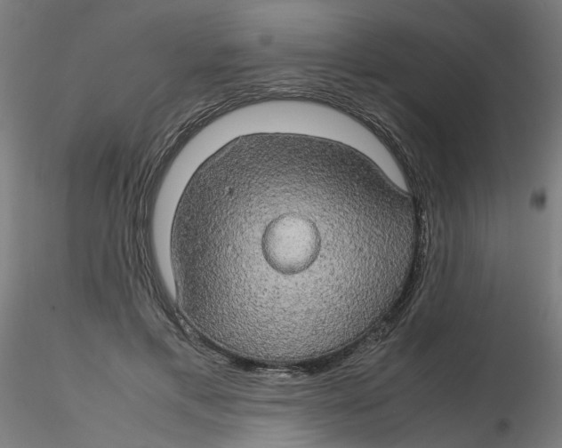 X0000116120597200912211655