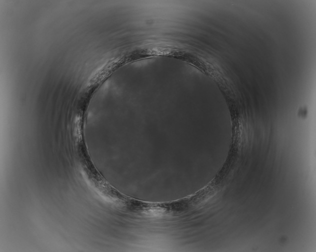 X0000116120598200912211655