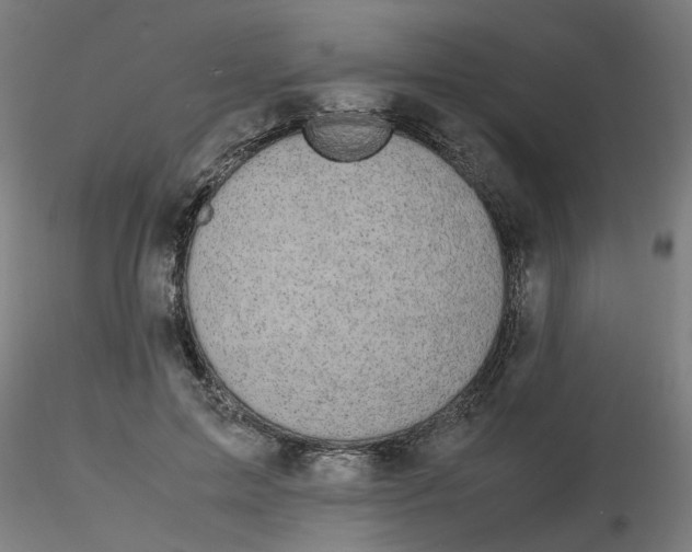 X0000116120599200912211655