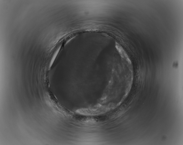 X0000116120600200912211655