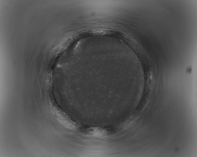X0000116120601200912211655