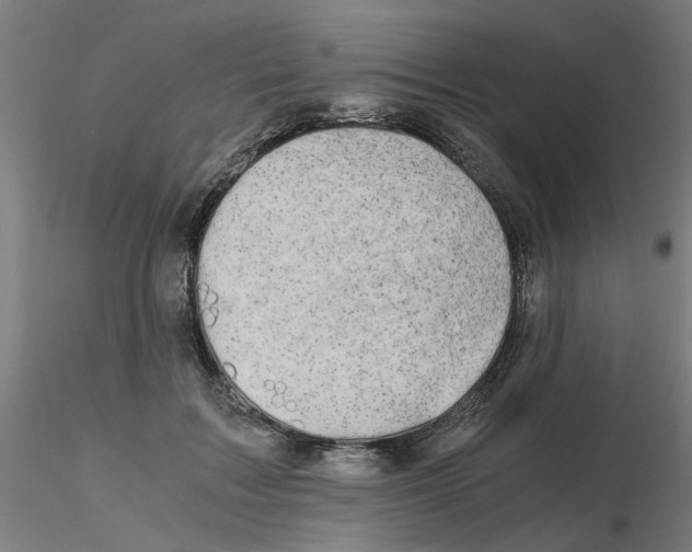 X0000116120603200912211655