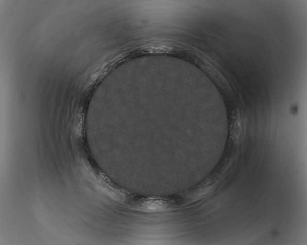 X0000116120604200912211655