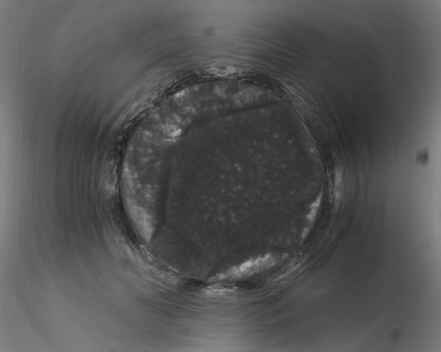 X0000116120606200912211655