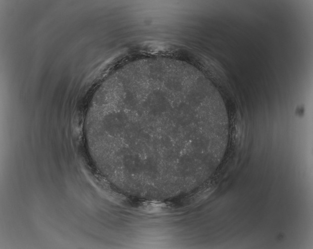 X0000116120607200912211655