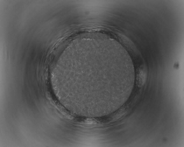 X0000116120608200912211655