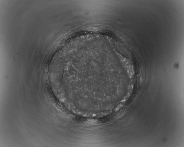 X0000116120609200912211655