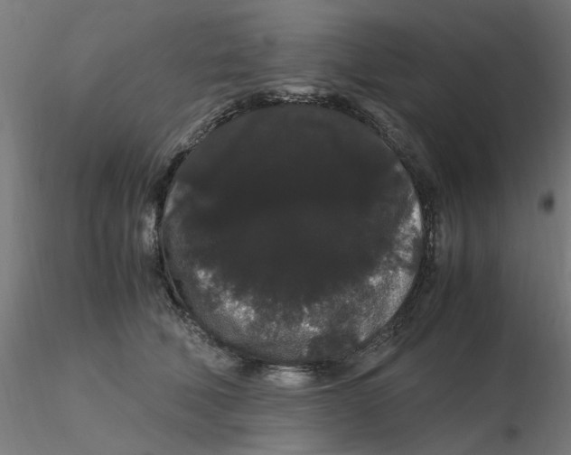 X0000116120610200912211655