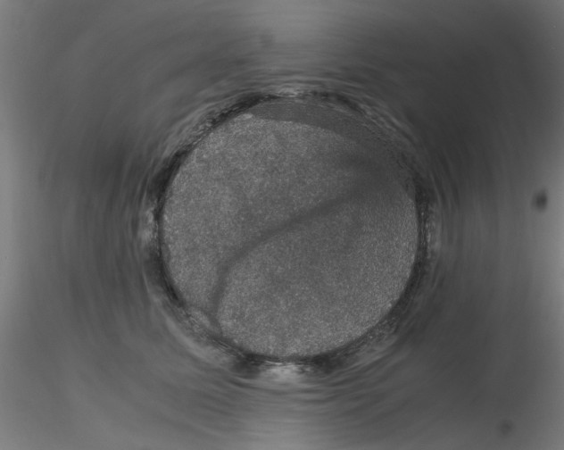 X0000116120611200912211655