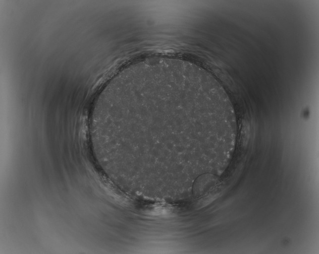 X0000116120612200912211655