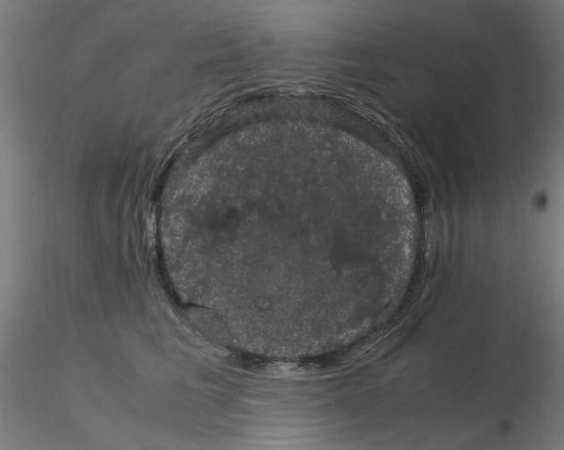 X0000116120613200912211655