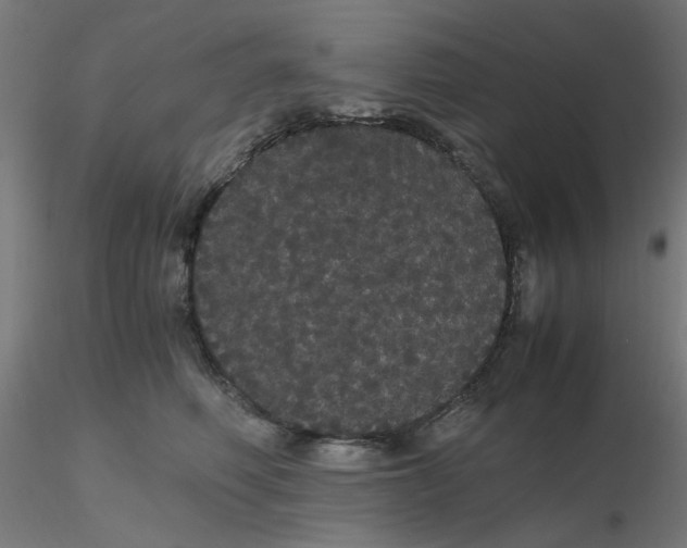 X0000116120614200912211655