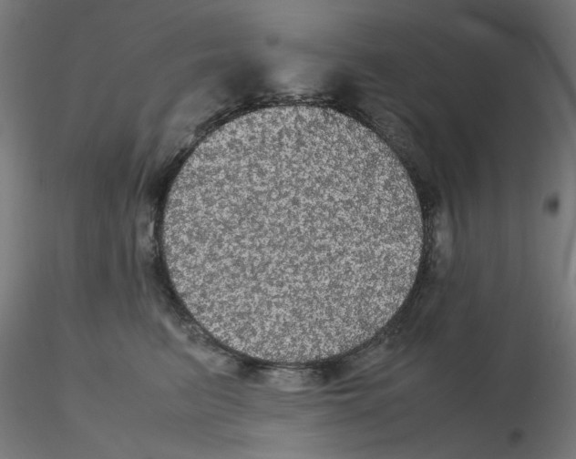 X0000116120615200912211655