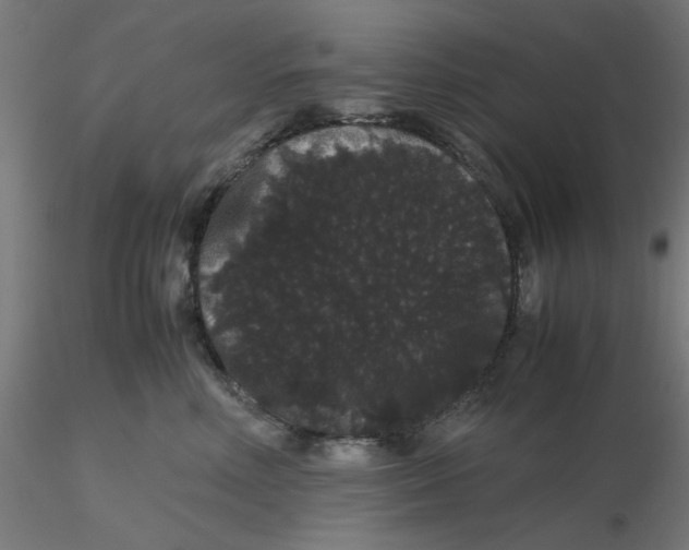 X0000116120618200912211655