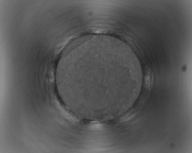 X0000116120620200912211655