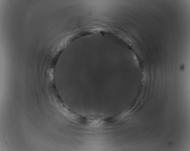 X0000116120621200912211655