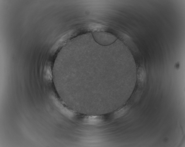 X0000116120622200912211655