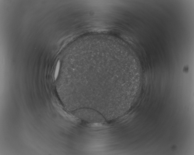 X0000116120623200912211655