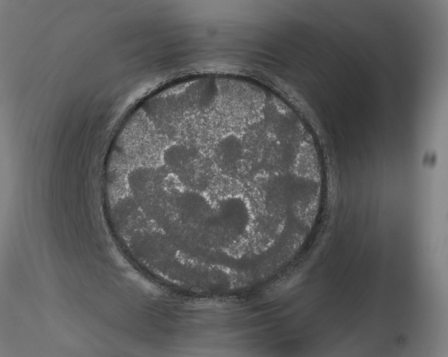X0000116120625200912211654