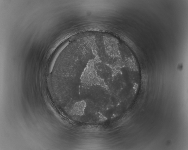 X0000116120626200912211654
