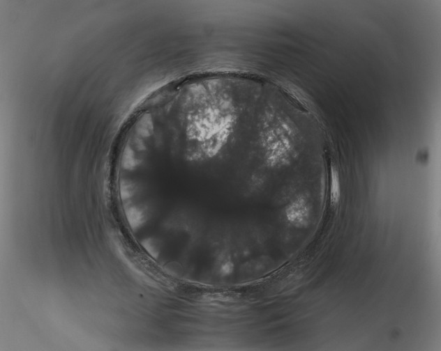 X0000116120627200912211654