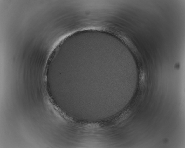 X0000116120628200912211654
