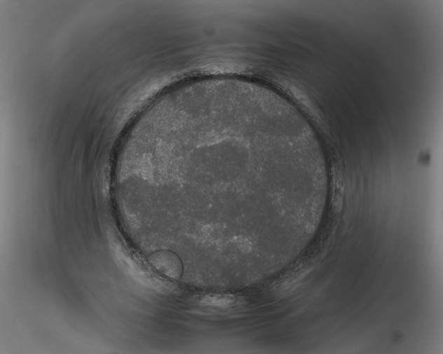 X0000116120631200912211654