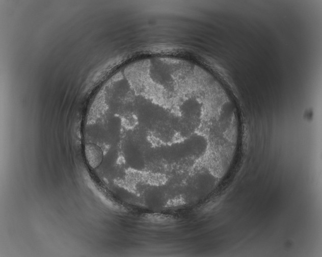 X0000116120633200912211654